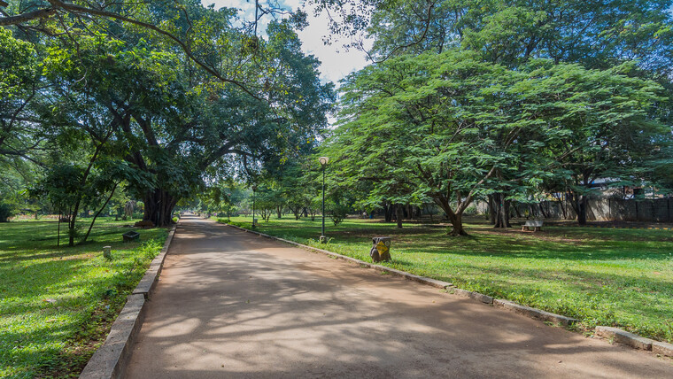 India 2014 - Bangalore 013.jpg